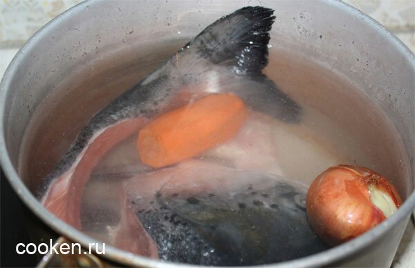 Готовится бульон из красной рыбы